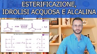 20 Esterificazione  idrolisi acquosa  idrolisi alcalina dei lipidi [upl. by Anitsahs]