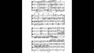 A Dvorak String Quartet no9 in Dminor op34 44 Finale [upl. by Albright]