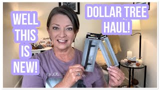 DOLLAR TREE HAUL  NEW  Interesting Finds  125  I LOVE THE DT 😁 [upl. by Mashe]