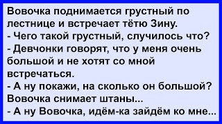 Вовочка на лестничной клетке встретил тётю Зину Сборник Клуб анекдотов [upl. by Ennasirk754]