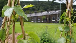 Incredible Edible Todmorden Marys Story [upl. by Rramo]