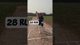 Will I be able to chase 28 runs  shorts cricket runchase [upl. by Elyad15]