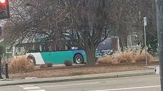 Boise valley ride Proterra electric city bus  3505 [upl. by Ayam12]