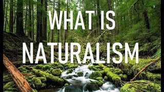 What is Naturalism [upl. by Nortyad]