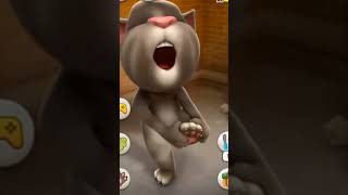 ayyo tomcute cat tomcat talkingtom funny tomcatfunnies talkingtomfunny cartom funnytomcat [upl. by Haskins]