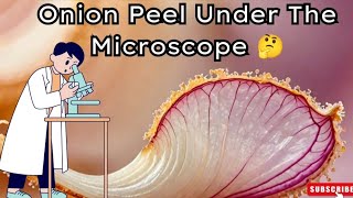 WHAT Onion Peel LOOKS LIKE UNDER MICROSCOPE 🤔 microscope 1millionviews [upl. by Enilrahc542]