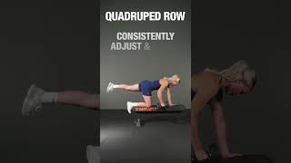 How To Quadruped Row [upl. by Sancho]