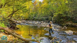 Fly Fishing for a Trout you have to see to believe Fall Trout Fishing [upl. by Adriene]