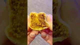 Will You Still Eat Figs After Watching This 3 Year Update🌱🐝 [upl. by Ocirrej860]