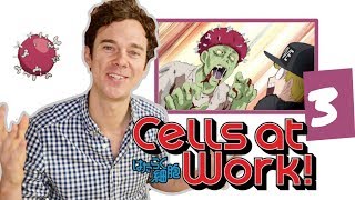 Real DOCTOR reacts to CELLS AT WORK  Episode 3  quotInfluenzaquot [upl. by Elfreda]