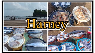 Harney beach harneybeach dapoli  Maharashtra konkanitravelingandrecipes4 [upl. by Rufe]