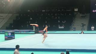 Eythora Thorsdottir Floor  2019 European Championships Qualifications [upl. by Retsub]