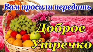 С Добрым Утром Хорошего дня ☕🌹Красивейшие Пожелания Доброго Утра и Здоровья [upl. by Oir]