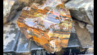 Collecting Fancy Jasper on Ontario Beach [upl. by Enrichetta]