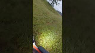 lawncare farming grass turfgrass equestrian ocalafl [upl. by Noll117]