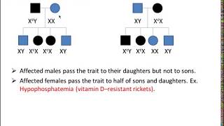 Pedigree analysis [upl. by Alayne]