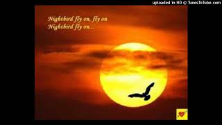 Nightbird  singing coverd by Ys [upl. by Kroll]