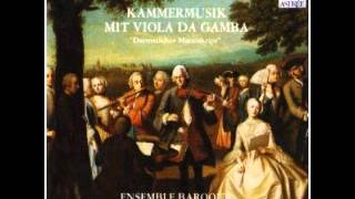 Telemann Kammermusik mit viola da gamba Coin [upl. by Polish]