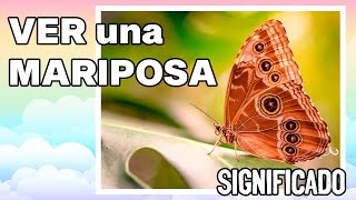 ¿Qué SIGNIFICA cuando VES una MARIPOSA Significado y simbolismo [upl. by Becky107]