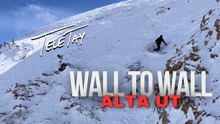 Wall To Wall Alta Ski Area East Castle Mount Baldy Little Chute Telemark Skiing w TeleTay [upl. by Plerre]