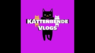 Kattenbende Vlogs Wat eten onze poezenkinderen [upl. by Eicram]