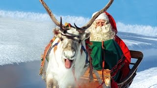 Renne di Babbo Natale in Lapponia Finlandia 🎅🦌 Santa Claus Rovaniemi video per le famiglie Rovaniemi [upl. by Pauli]