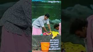 ഇത് ഐറ്റം വേറെ കോമഡി😂 flowers comedy shorts video [upl. by Phelia]