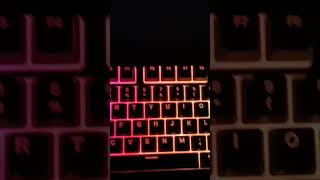 STEELSERIES APEX 3 TKL 🔥🔥 [upl. by Tavi161]