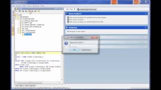 How to working with script manager [upl. by Savanna]