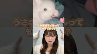 韓国でバズってる🐰うさぎ舌ネイル 韓国トレンド フィンガースーツ ネイルチップ shorts [upl. by Ahsinor]