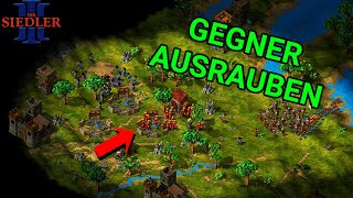 Steine KLAUEN  Amazonen Mission 9  Die Siedler 3 [upl. by Wilkie]