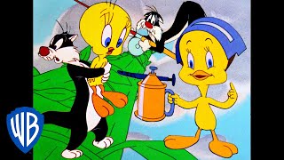 Looney Tunes  Best of Tweety Bird and Sylvester  Classic Cartoon Compilation  WB Kids [upl. by Yaras958]