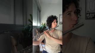 Battle of the altos Silver plated vs RAW copper by TJflutes altoflute classicalmusic flute [upl. by Artimid535]