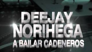 DJ Norhiega A bailar Cadeneros Choory Vazquez Especial Remix [upl. by Starobin]