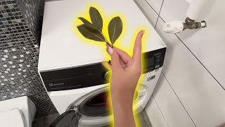 Throw a BAY LEAF into the wash See what happens [upl. by Dannica]