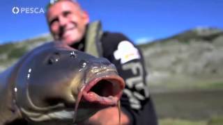 PESCA TV SKY 236  FISHING ADVENTURES di Roberto Ripamonti [upl. by Haram949]