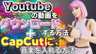 Youtubeの動画をダウンロードする方法！ [upl. by Atlee464]