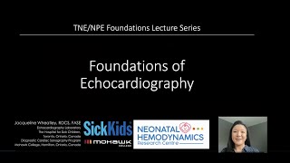 Foundations of Echocardiography [upl. by Natsuj]