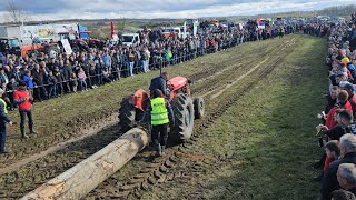 Traktorijada Srbac 2024  Vuča trupca sve kategorije 4k [upl. by Ariada]