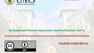 Recombinant Protein Expression in E coli  Part 2 [upl. by Daberath]