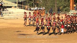 Yimchunger cultural dance presented at Hornbill Fest [upl. by Tonya835]