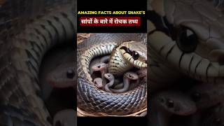 Amazing Facts About Snakes shorts facts factsinhindi [upl. by Enitsirc881]