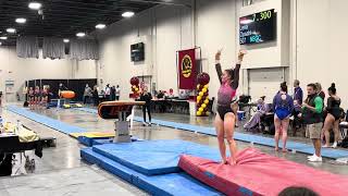 Vault  2024 Gopher Invite [upl. by Doughman5]