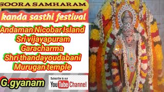 Soora samharam kandha sasthi festival Ggyanam [upl. by Nevet581]