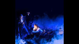 The Phantom of the OperaDas Phantom der Oper  Vienna  13112024 ACT ONE [upl. by Ahtnamys]