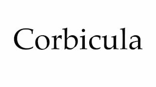 How to Pronounce Corbicula [upl. by Eelyab]