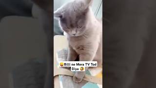 😜Billi ne Mera TV Tod Diya 🤣funny 🤣shortroxcomedyfunnyvideo vikmershortfunny 😀 [upl. by Enrico]