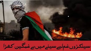 Nazam Palestine Ka Lia Sun Kar Rona Aa jay Protest For PalestinePray For Palestine [upl. by Akerdnahs]