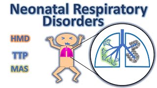 Neonatal Respiratory disorder  hyaline membrane disease  RDS  TTN MAS NEONATOLOGY SERIES CH7 [upl. by Lilybel]