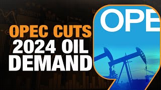 OPEC Cuts Oil Demand Forecast Organization of Petroleum Exporting Countries Crude Oil Demand [upl. by Ensign]